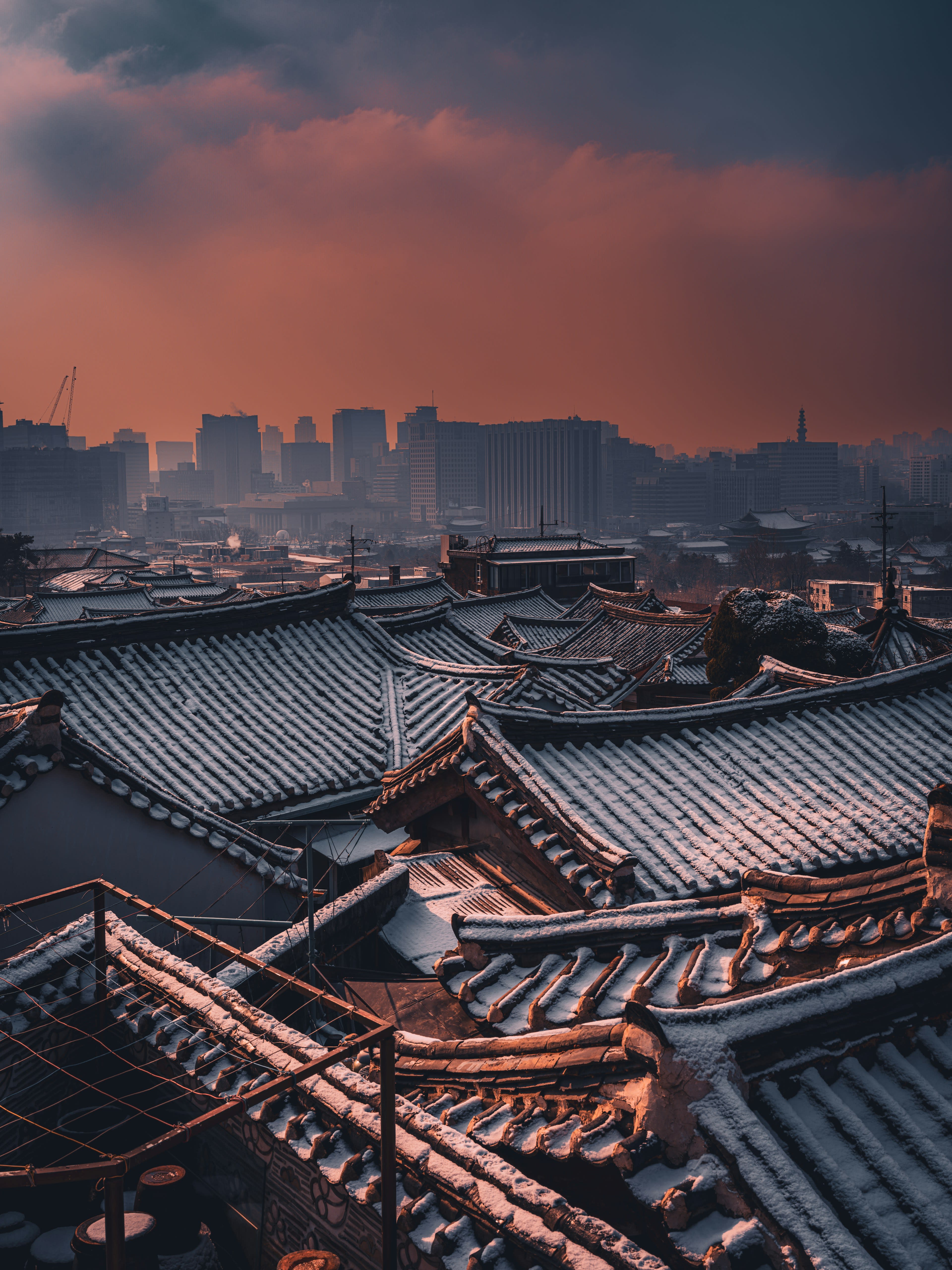 Traditional curved tiled roofs in the foreground with a modern city skyline behind at dusk
