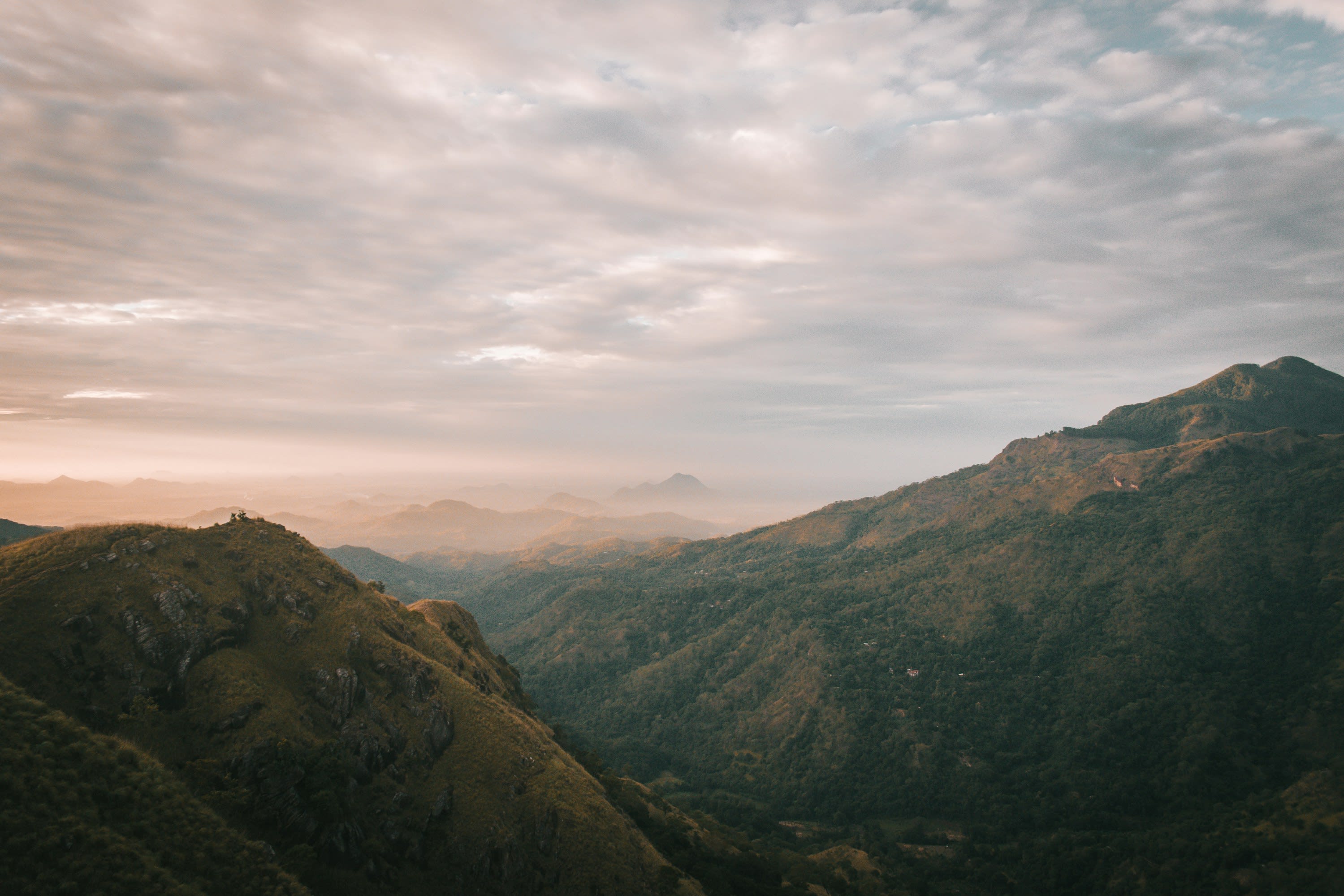 A deep green valley falling away from a high escarpment under evening cloud