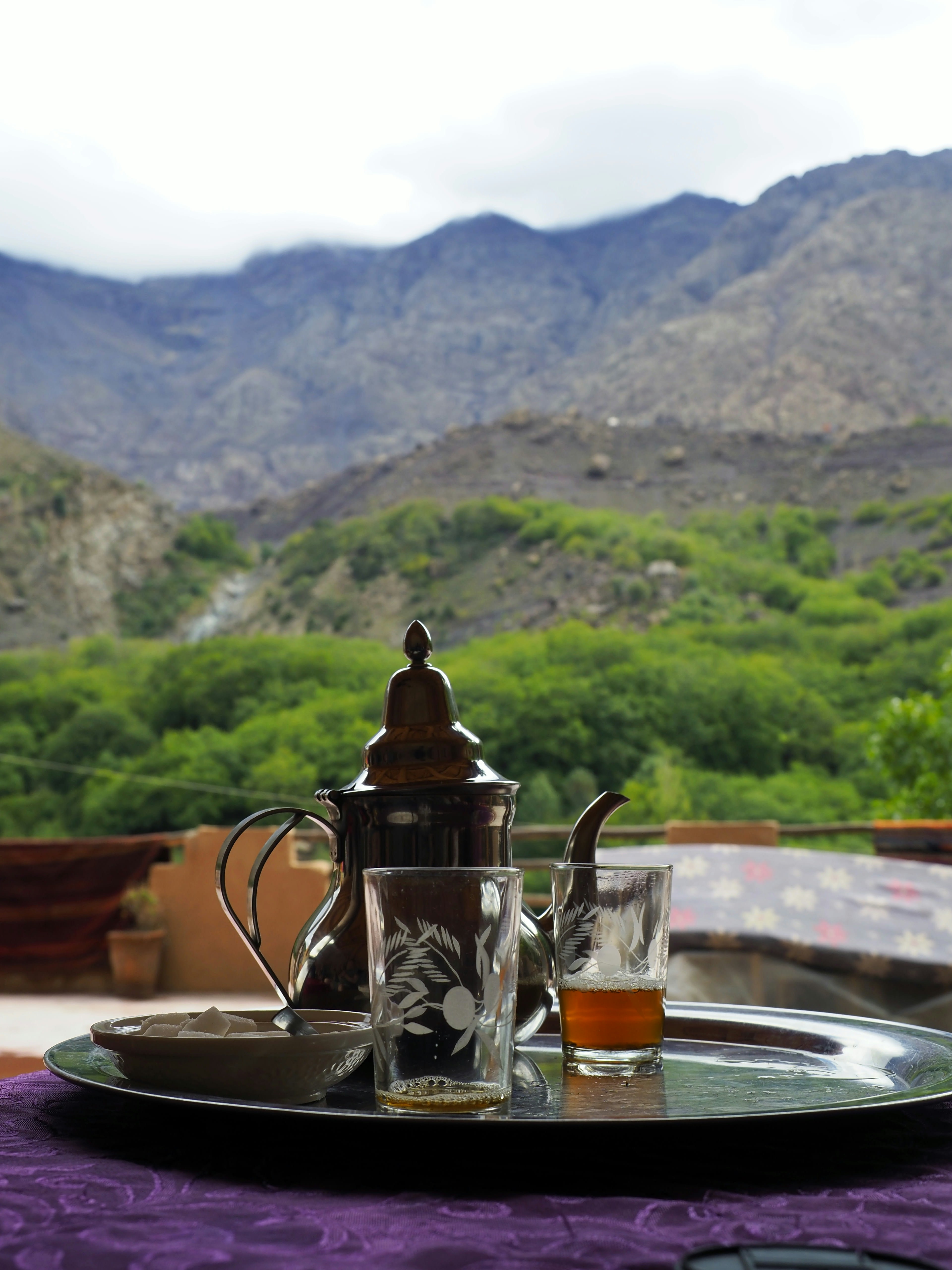 A silver teapot and glasses on a tray with green trees and mountains behind