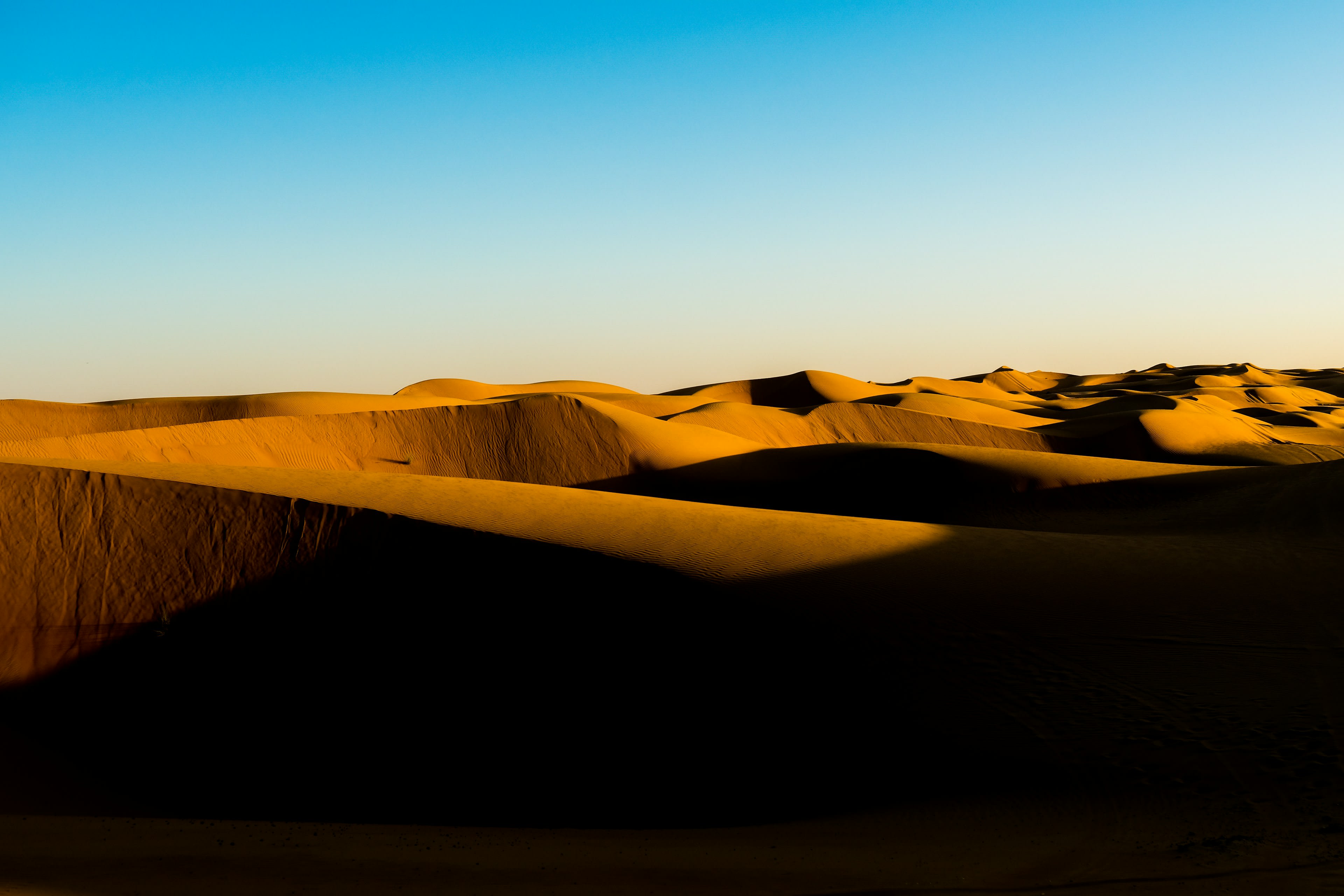 Rippled sand dunes in warm and shadowed tones stretching to the horizon