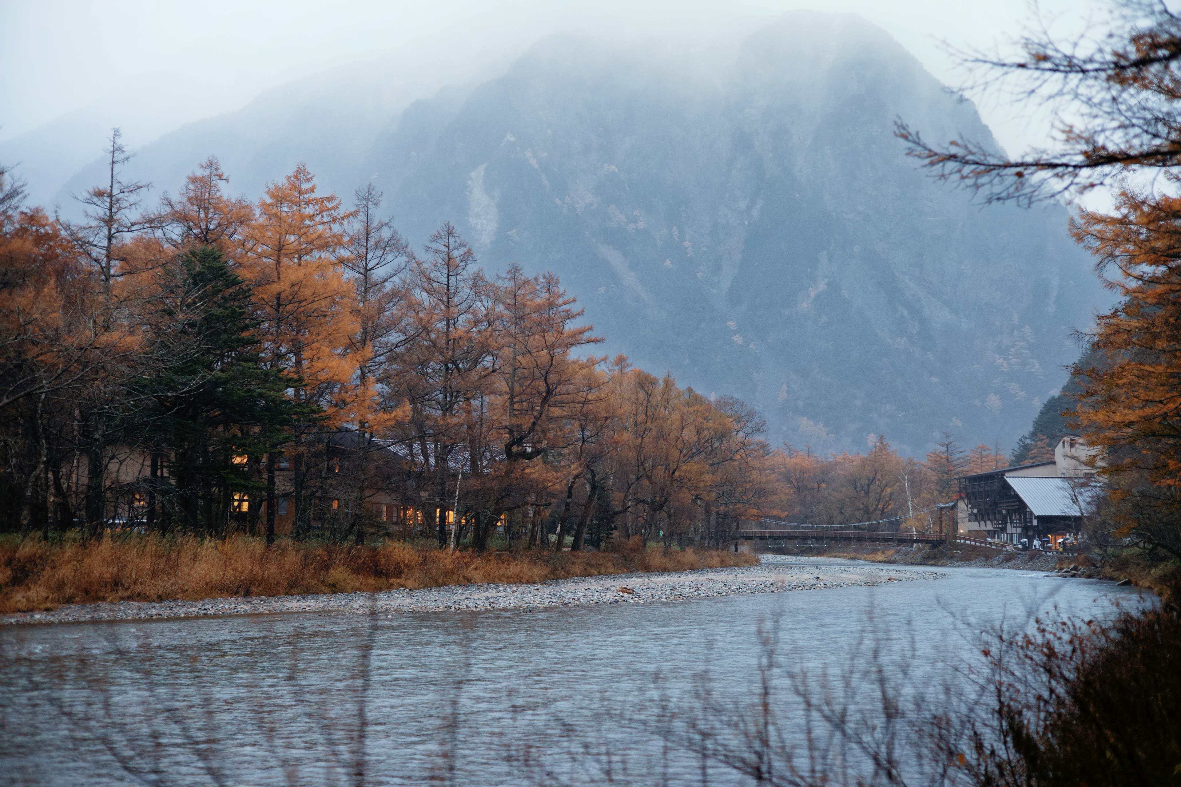 Bare larch and dead standing trees reflected in a still pond below misty peaks
