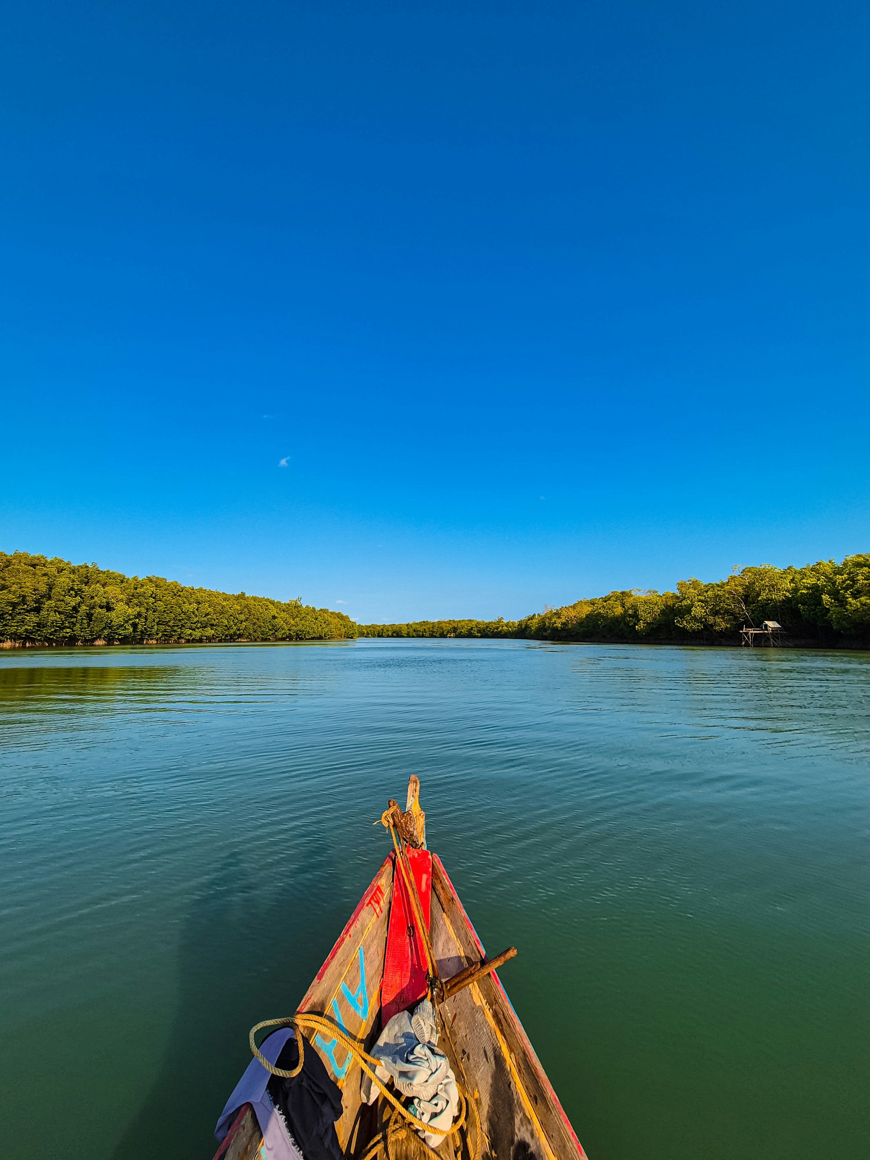The bow of a small boat gliding along a calm channel through green mangroves