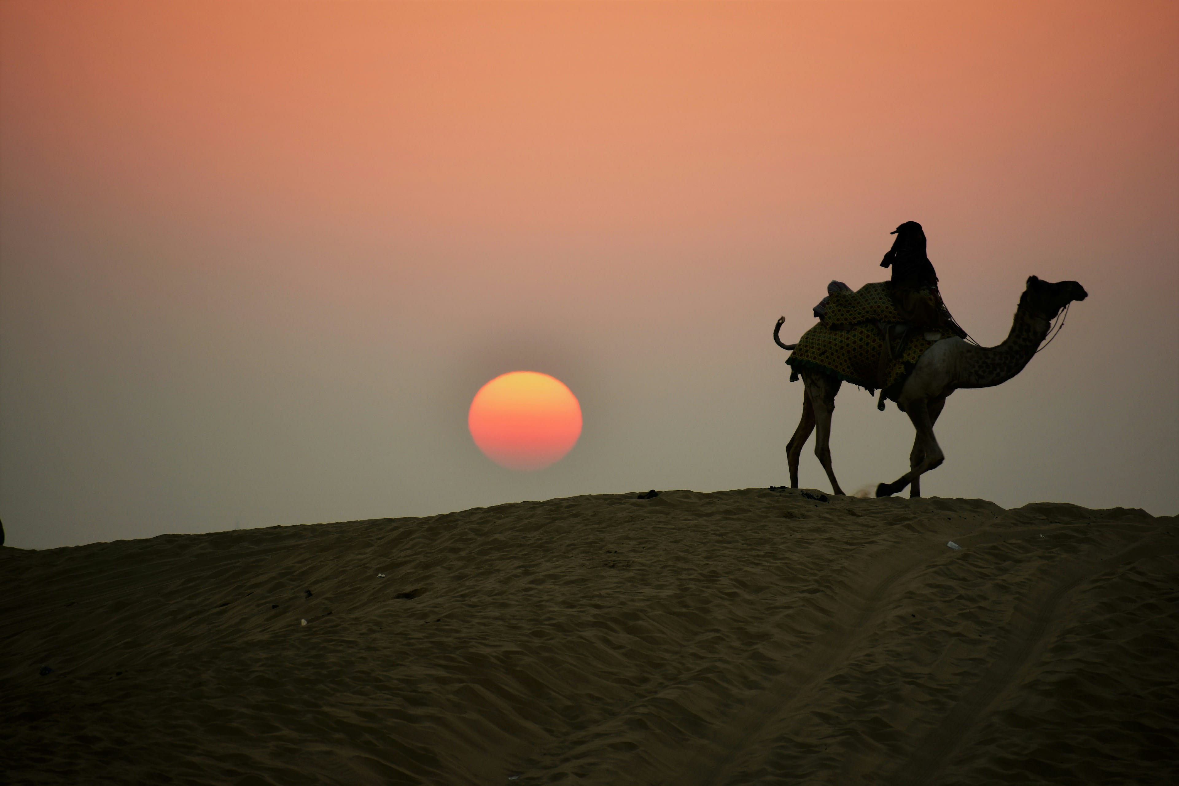 A camel and rider silhouetted on a dune crest against the setting sun