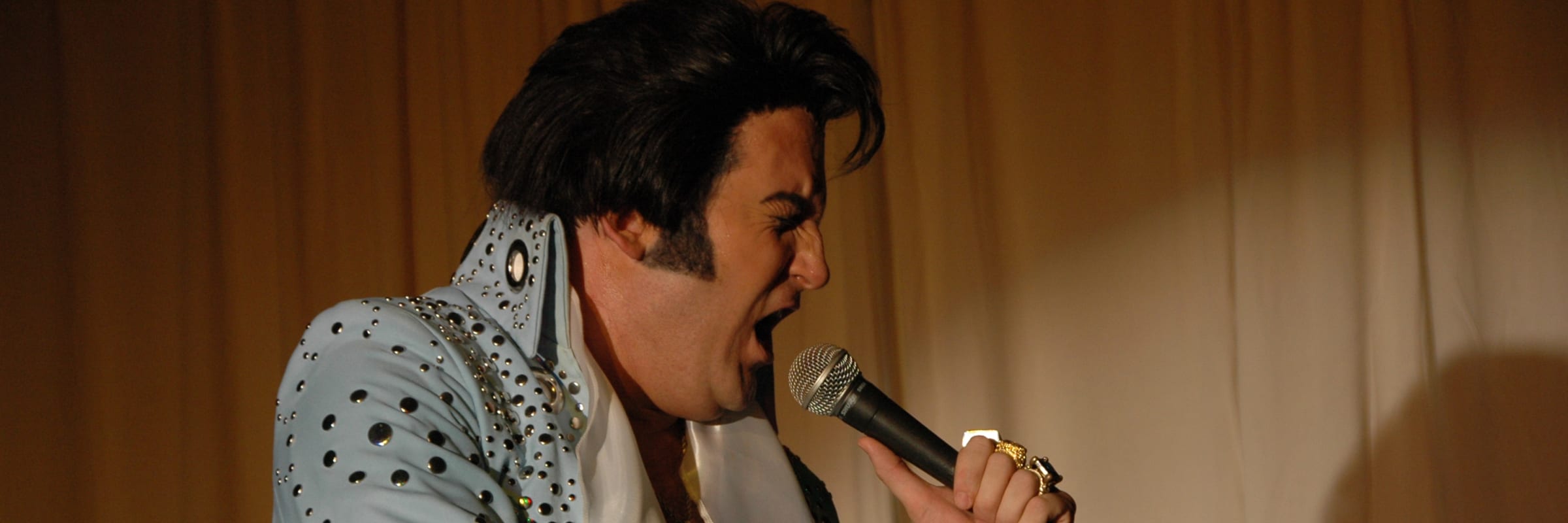 The Elvis Concert