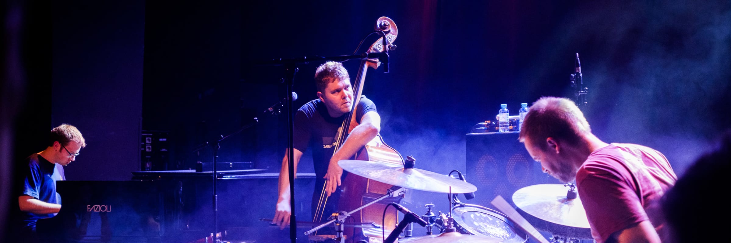 GoGo Penguin