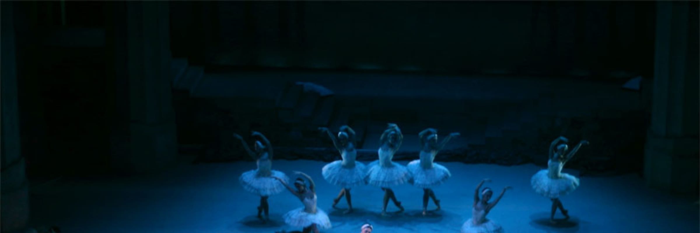 Het Grootste Zwanenmeer ter Wereld