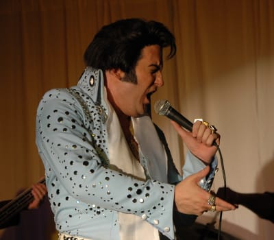 The Elvis Concert