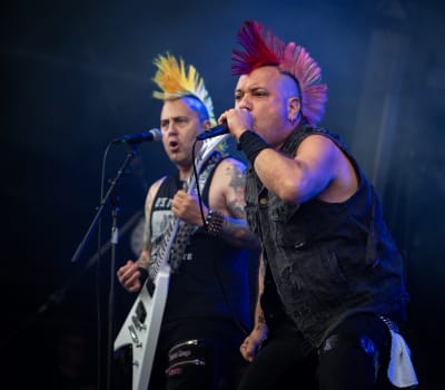 The Casualties