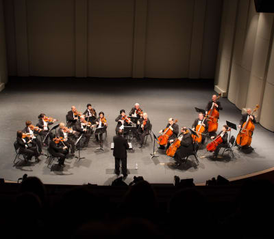 Nederlands Kamerorkest