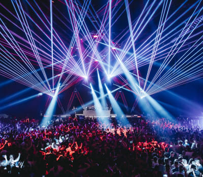 Snakepit 2025
