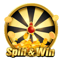 Spin