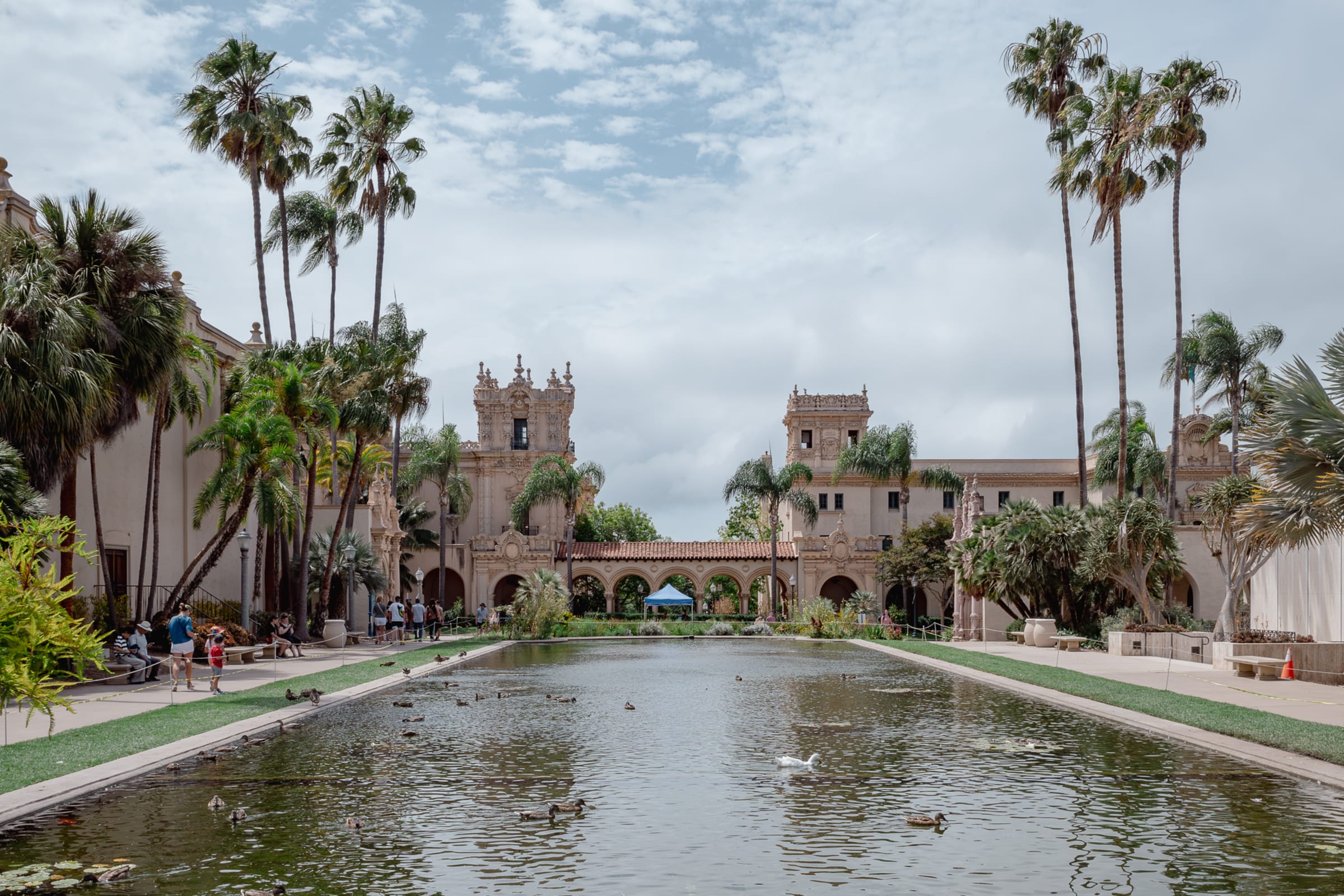 Balboa Park Lily Pond