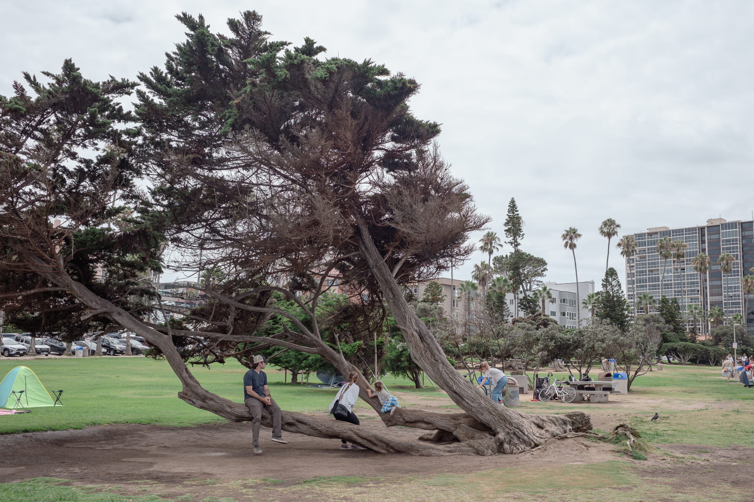 La Jolla Cove