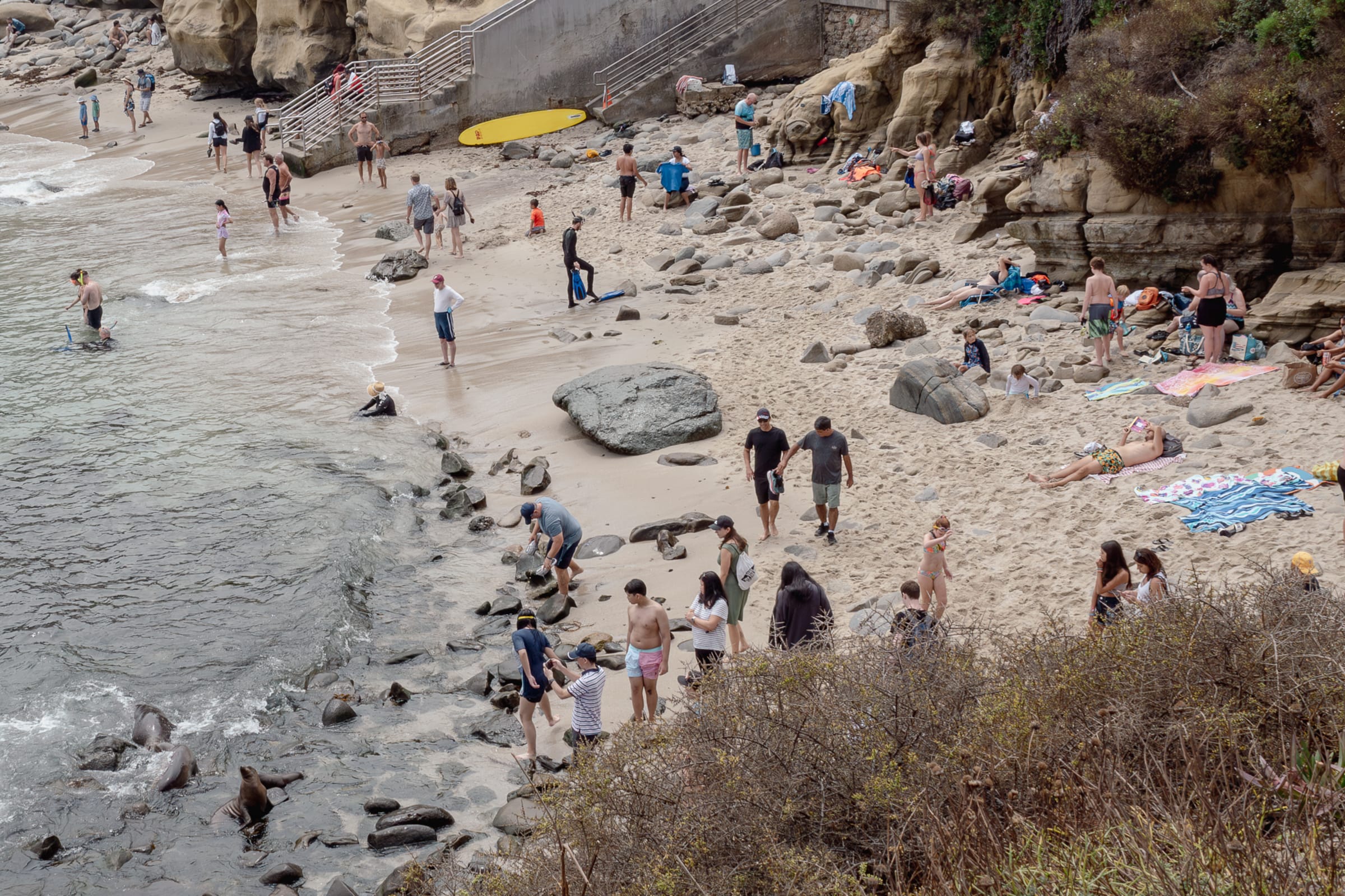 La Jolla Cove