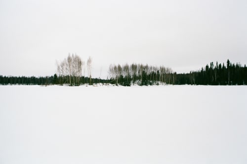 Snow and trees