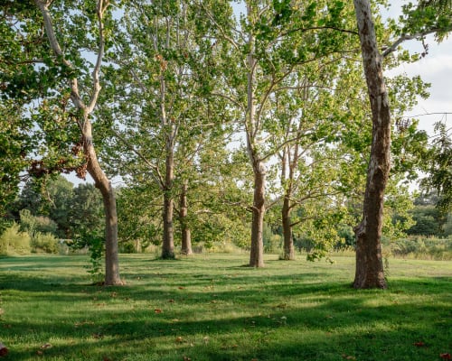 My favorite place in Champaign, Illinois