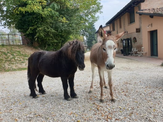 Agriturismo GuardaStelle Bologna