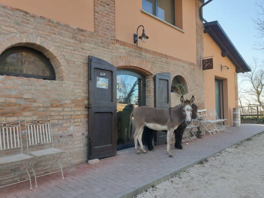 Agriturismo GuardaStelle Bologna