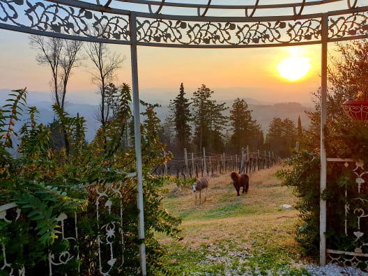 Agriturismo GuardaStelle Bologna