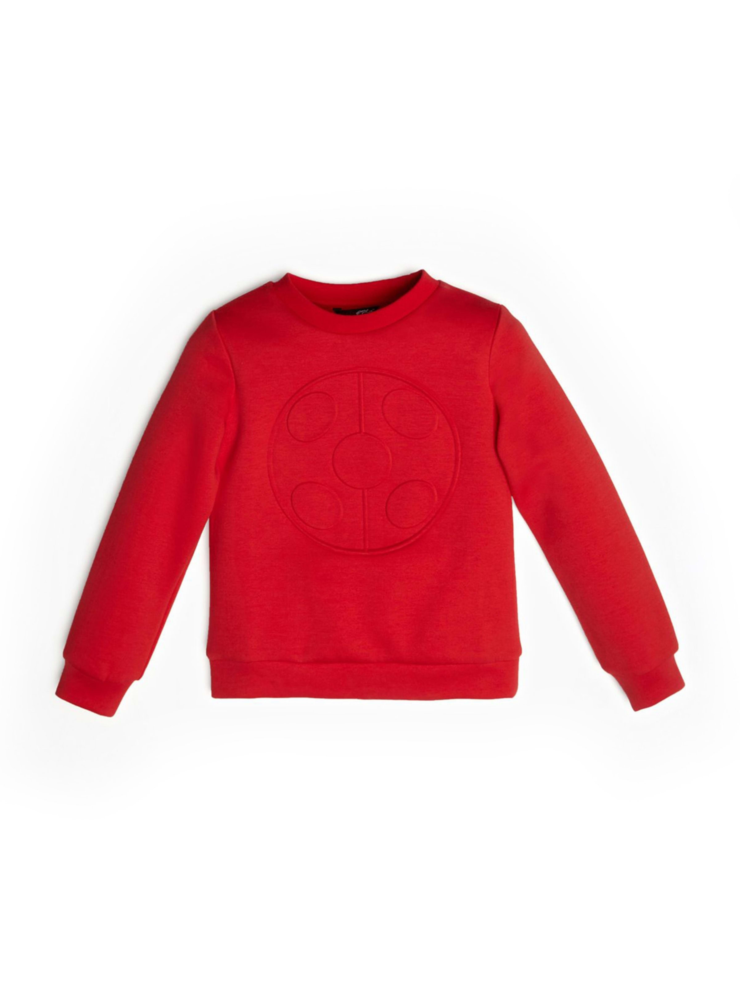 ladybug pullover