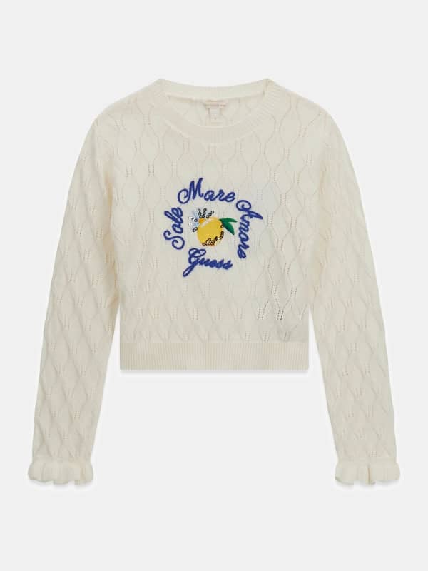 Maglione Con Logo Ricamato