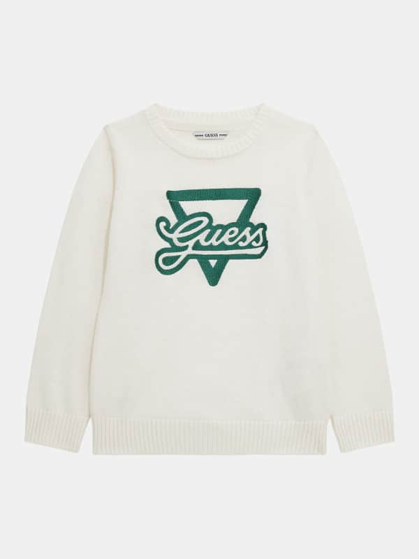 Pull Broderie Logo Frontale
