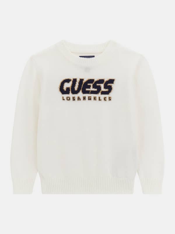 Pullover Logo