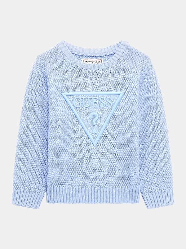 GUESS Pullover Logo-Stickerei Vorne