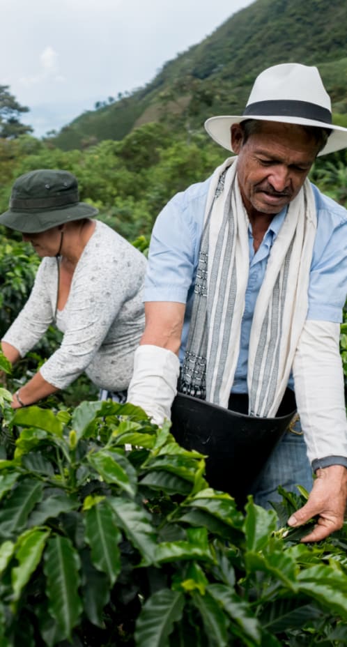 Responsible Sourcing