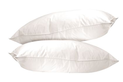 Envirosleep Dream Surrender Set of 2 Standard Pillows Found at Marriott Hotels