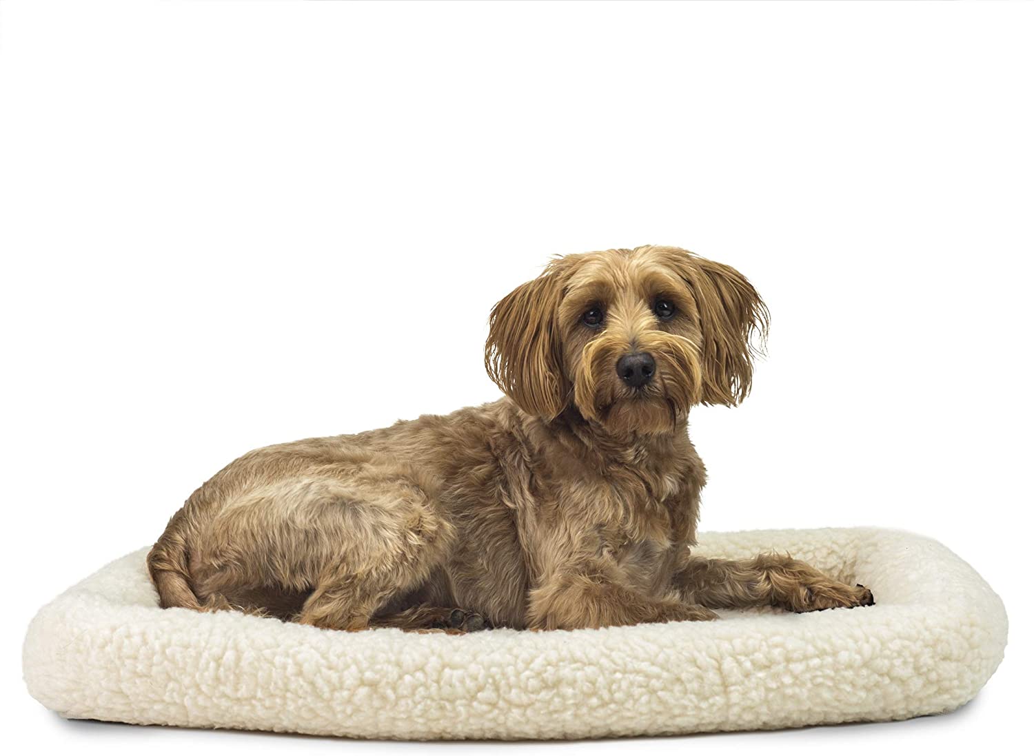 Pet Friendly Supplies