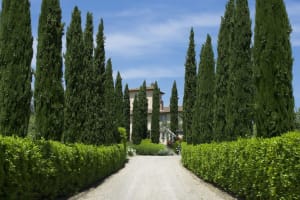 Villa Chianti