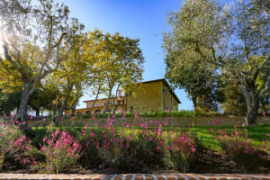 Montepulciano villa rental