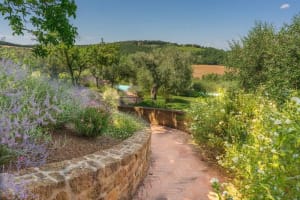 Montepulciano villa rental