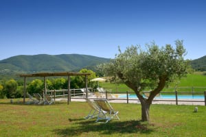 Large Tuscany villa rental