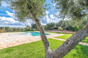 Ostuni holiday rental