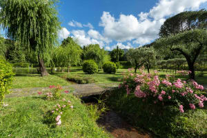 Lucca villa rental