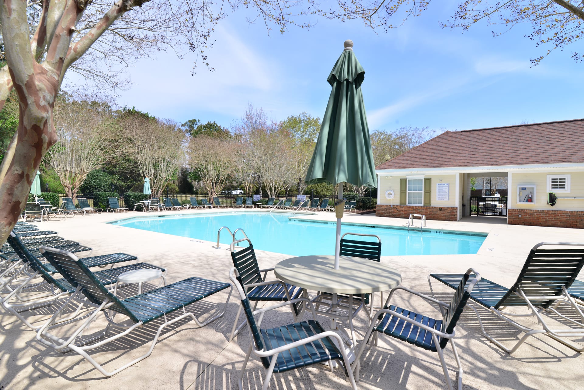 Photo inspiration: Lakefront Luxury 15000Sf Pool In Amazing Location Photo Inspiration