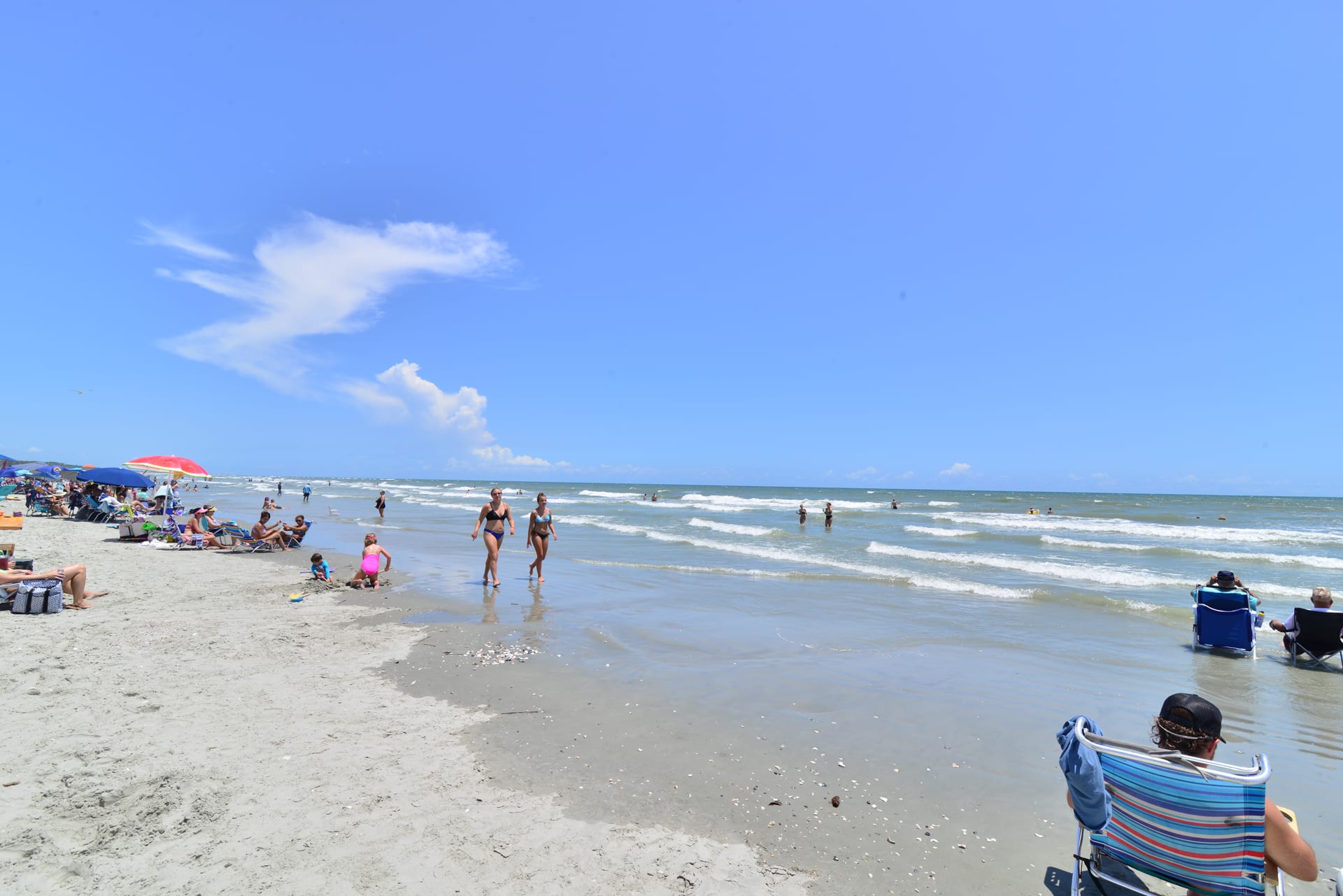 Direct Oceanfront Magic at Sea Marsh w Pool