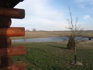 View 6