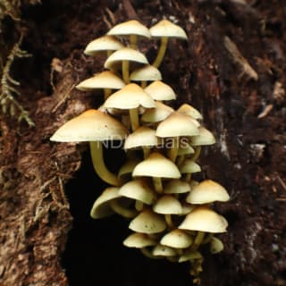 Where The City Gathers Overnight 