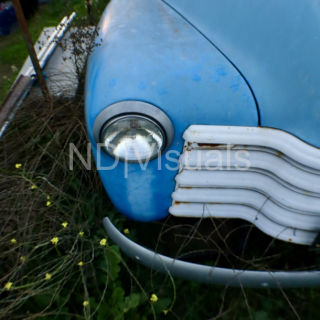 Reclaimed by the Bush