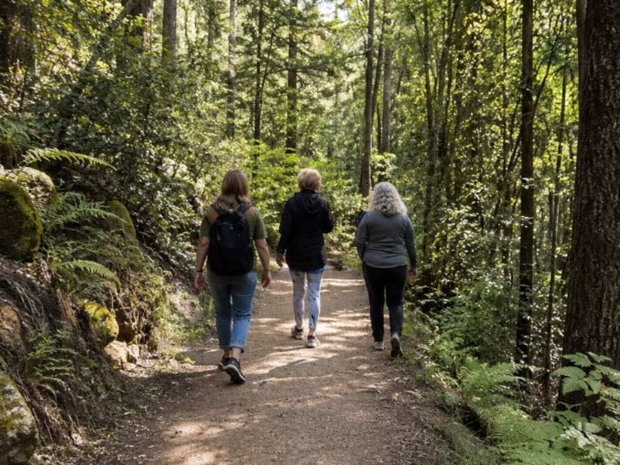 Three women walking together down a sunlit forest trail