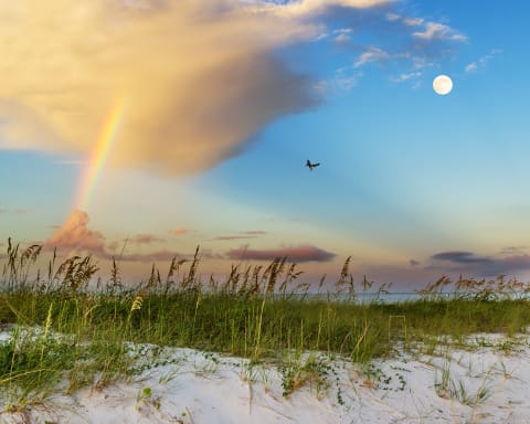 Sanddunes