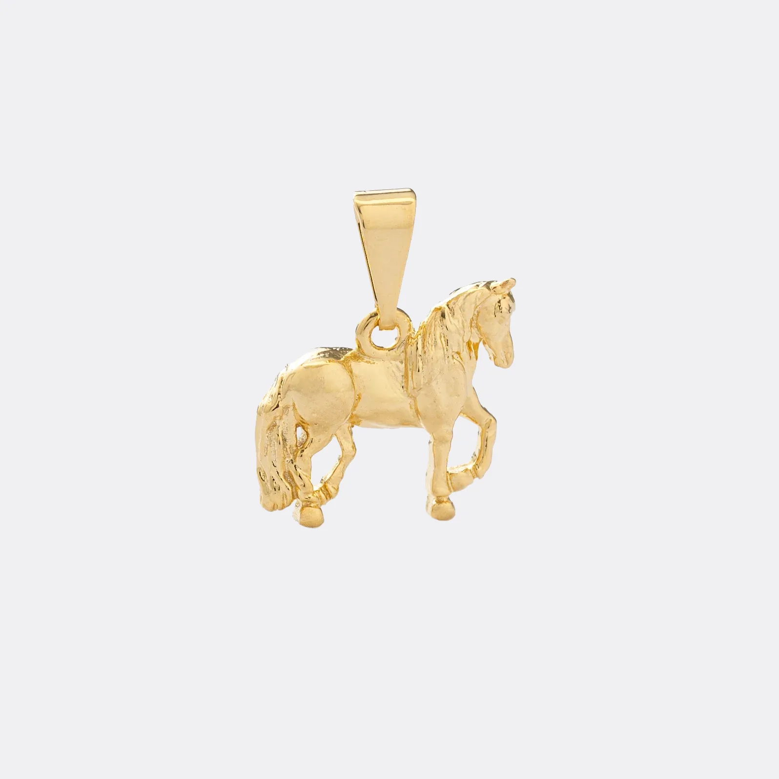 Exclusividad Caballo - Vista 1