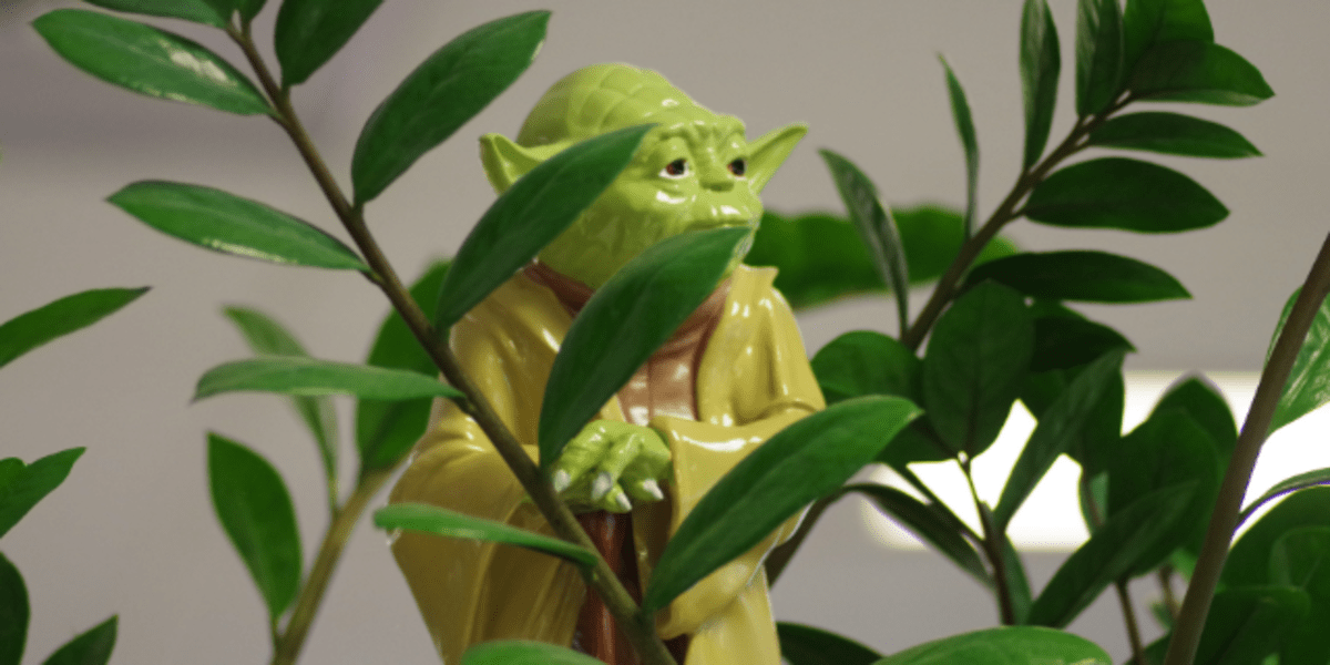 Small statue of Yoda, hiding in the leaves of a plant.