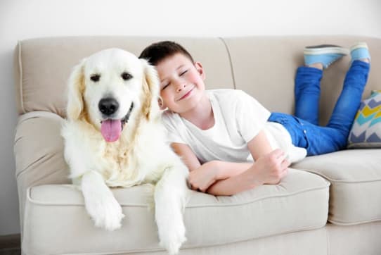 21261 web 1024x683 1 - best couches for kids, child