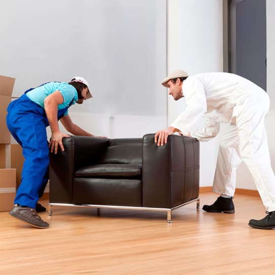 No-Hassle-Delivery-Mobile | Sohnne® No Hassle Delivery Mobile