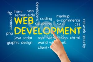 Portfolio for Websites and Web/App Software