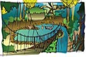 Portfolio for Brochures